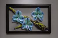 Blue Epidendrum - Specimen Box by Debora Moore