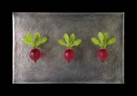Three Red Radishes by Jen Violette